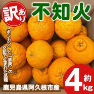 ＜先行予約受付中！2026年3月上旬以降順次発送予定＞訳あり！露地栽培の不知火(4kg) 国産 不知火 しらぬい 柑橘 果物 フルーツ デザート 露地 果実 期間限定 数量限定【古田果樹園】akn093-03