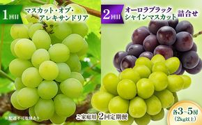【2026年先行予約】ご家庭用「 マスカット ・オブ・ アレキサンドリア 」＆「 オーロラブラック ・ シャインマスカット の詰合せ」2回定期便 各3～5房(2kg以上) フルーツ 果物 数量限定 里庄町 リアムfarm