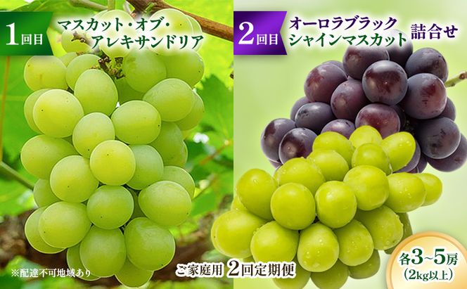 【2026年先行予約】ご家庭用「 マスカット ・オブ・ アレキサンドリア 」＆「 オーロラブラック ・ シャインマスカット の詰合せ」2回定期便 各3～5房(2kg以上) フルーツ 果物 数量限定 里庄町 リアムfarm