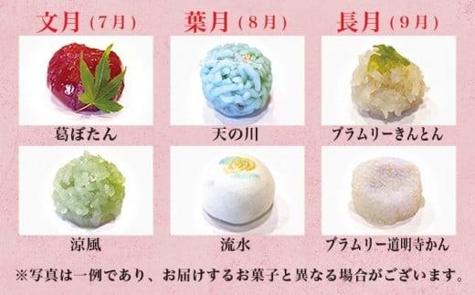 手作り 和菓子いちむらの生和菓子 12個前後 ［和菓子いちむら］和菓子 上生菓子 お菓子 お茶席 お祝い スイーツ 長野 信州 小布施 お取り寄せ 詰め合わせ 詰合せ ［A-56］