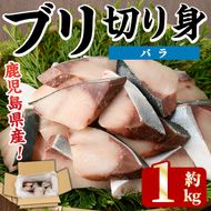 ブリの切り身(バラ・約1kg) 国産 鹿児島県産 ブリ 鰤 魚貝 魚介 海産物 焼き魚 煮つけ ブリカツ バラ 【株式会社島水】akn102-01
