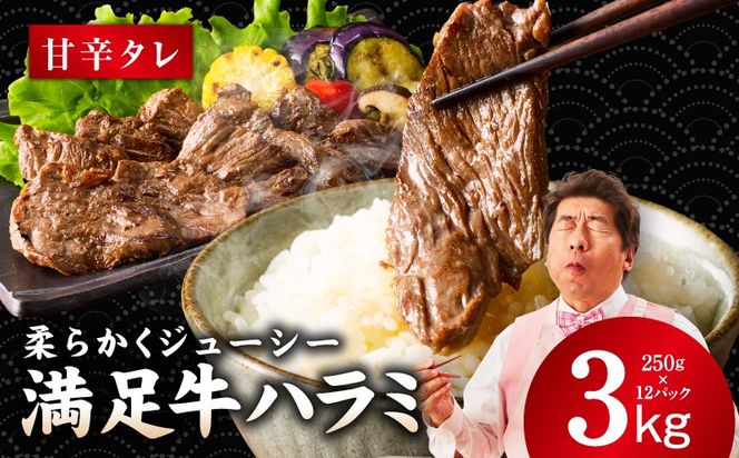 y{򍲖szG3415 yn~zÐh^Ђ v3kg yt n~  Ă ȒP BBQ  250g×12Pz