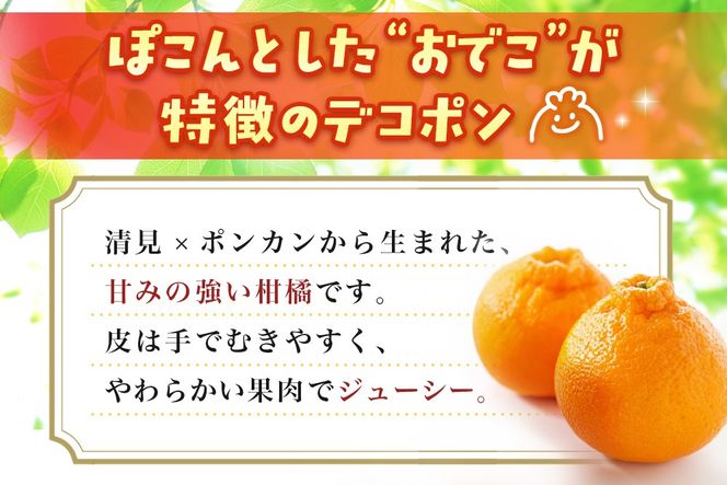 【2027年1月中旬より発送開始】不知火(デコポン) 約5kg【みかん 柑橘 清美 ポンカン フルーツ デザート】(H116137)