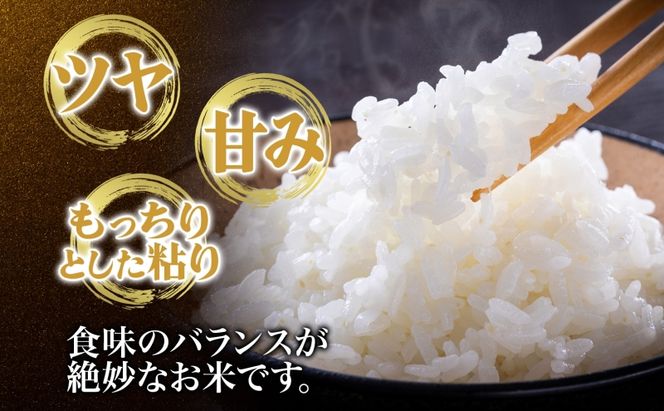天水の恵米 コシヒカリ 白米 5kg お米 粘り もっちり 国産 白米 ご飯 もちもち 柔らかい お弁当 おにぎり らんざん営農 ギフト 贈り物 嵐山町 埼玉県