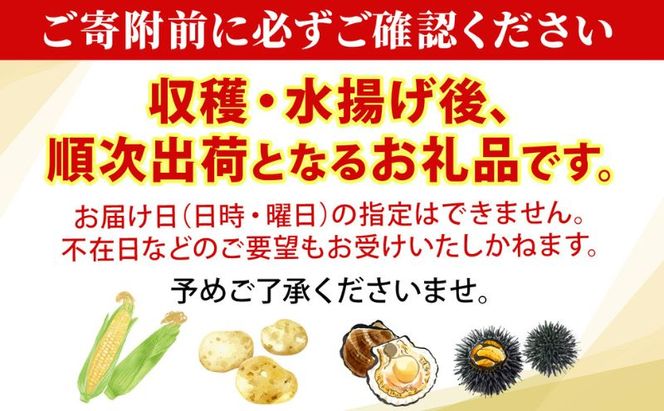 北海道産 とうもろこし 恵味 ゴールド 2L 18本 8月中旬～9月末頃お届け 朝採り めぐみ トウモロコシ コーン スイートコーン 甘い 新鮮 先行受付 夏 野菜 産地直送 送料無料 塩田農園 北海道 洞爺湖町