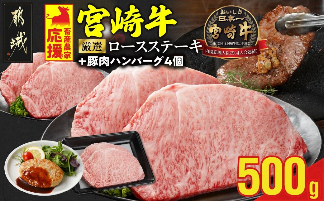 畜産農家応援! 宮崎牛ロースステーキ2枚 計500g+豚肉ハンバーグ100g×4個_16-N203-ESH