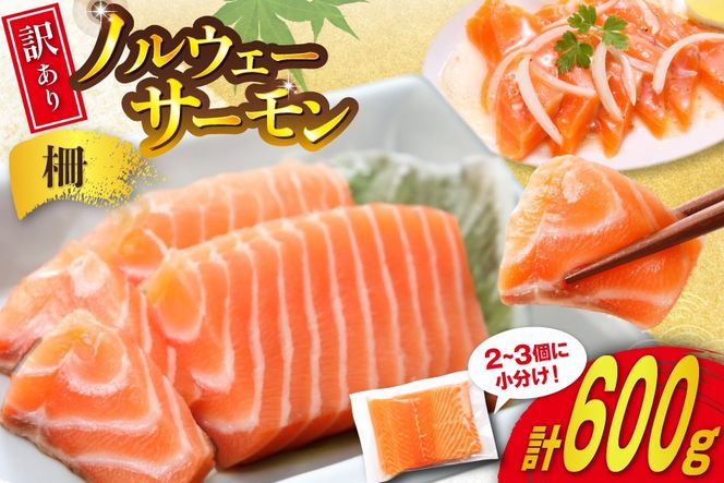 y{錧Csz󂠂 mEF[Y AgeBbN T[ 600g  ݗp Y  [{X {錧 Cs 20565614]   TP T[ Hp ܂  Ⓚ N  AgeBbNT[ AgT[ ^