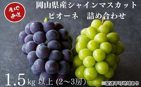 厳選 シャインマスカット・ニューピオーネ 2～3房 合計1.5kg以上 詰合せ 産地直送 朝採れ ぶどう 葡萄 Kawahara Green Farm 岡山県産 2026年 果物 フルーツ ジューシー 大粒 人気 甘い 美味しい 