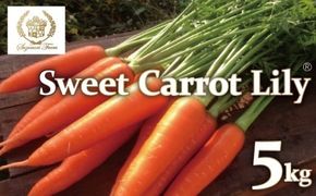 【期間限定】鈴盛農園の甘～いにんじん　『スウィートキャロットリリィ』 人参 甘い ジュース サラダ スムージー ジューシー H022-013
