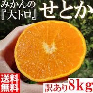 せとか ＜別名-みかんの大トロ＞ 和歌山県有田川町産 オレンジ 家庭用 8kg   CE045