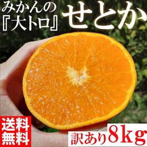 せとか ＜別名-みかんの大トロ＞ 和歌山県有田川町産 オレンジ 家庭用 8kg   CE045