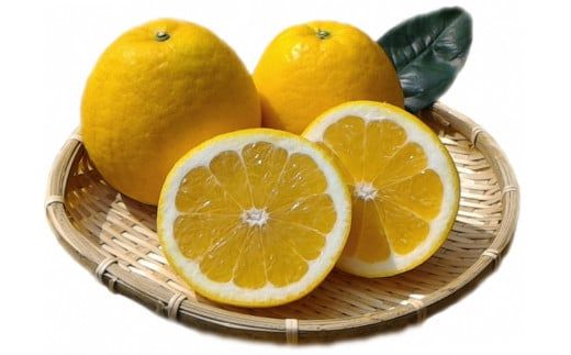 訳あり 河内晩柑 3.5kg 5000円 （発送期間: 4月中旬～8月下旬） みかん かわちばんかん 愛南ゴールド 美生柑 文旦 グレープフルーツ 和製 家庭用  産地直送 国産 農家直送 お試し 少量 試供品 糖度 果樹園 期間限定 数量限定 特産品 ゼリー ジュース 人気 限定 さわやか 甘い おいしい フルーツ 果物 柑橘 蜜柑 規格外 愛媛県 愛南町 マルハラファーム