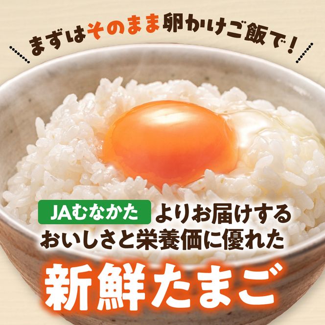 JAむなかたよりお届け！宗像たまご30個（27個＋補償3個）【JAほたるの里】_HA0915