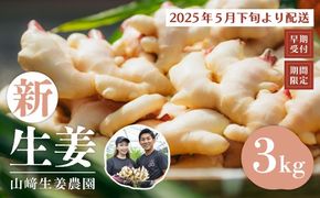 24-817．【早期受付・期間限定】みずみずしさがたまらない！新生姜約3kg【2025年5月下旬～9月上旬配送】