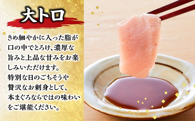 本マグロ（養殖）トロ＆赤身セット 1kg［KS13］ 304018_CG1003