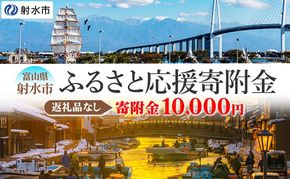 富山県射水市　応援寄附（返礼品なし） 10,000円