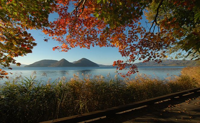 北海道洞爺湖町 日本旅行 地域限定旅行クーポン90,000円分 チケット 