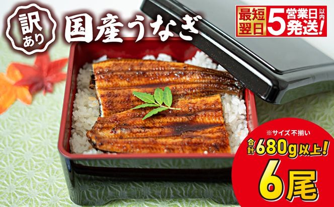 〈最短翌日発送〉【訳あり】さかい河岸水産 国産 うなぎ 蒲焼き 6尾 680g以上！ ※サイズ不揃い 人気 小分け K2739