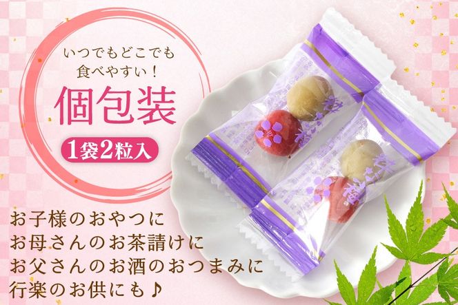 カリカリ梅　様　　専用出品 楽天市場】ブレイン カリカリ梅【種あり 熱中カリカリ梅 450g
