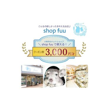 shop fuuで使えるクーポン券（3,000円）［145S74］