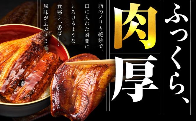 G3973 【規格外】うなぎ 暴れ盛り 250g（2カット）【お試し 鰻 かば焼き 簡単調理 訳あり サイズ不揃い 人気 惣菜 うな重 うな丼 ひつまぶし】