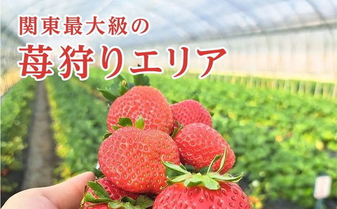 【先行予約】【12月から発送】いちご狩りチケット（2名様分）SMQ001