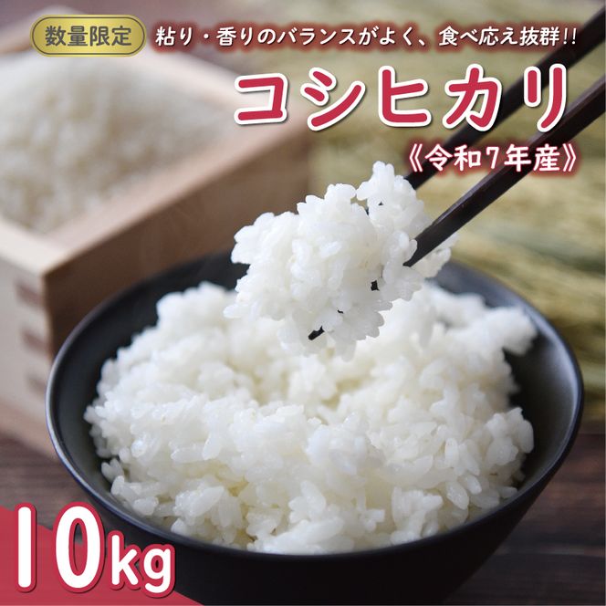 先行予約 新米 令和7年産 コシヒカリ 10kg 24000円 お米 白米 精米 米 こめ 産地直送 国産 農家直送 期間限定 数量限定 特産品 先行 事前 受付 令和7年度産 2025年産 もっちり 粘り 甘み おいしい おにぎり こしひかり 内祝い お祝い 贈答品 お返し プレゼント ギフト 土産 御礼 お礼 お取り寄せ 田中均 愛南町 愛媛県