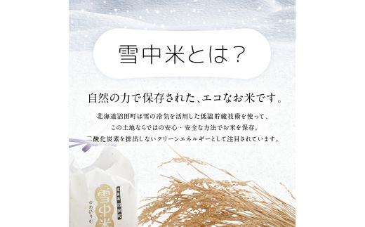 令和8年産【定期便隔月4ヶ月】 特Aランク米 ゆめぴりか 無洗米 20kg（5kg×4袋）【12月発送】雪冷気 籾貯蔵 雪中米 北海道 nr-1888