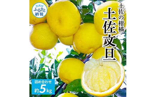 【CF-R7hbk】TKA039　先行予約 土佐の柑橘 土佐文旦 5kg 詰め合わせ 文旦 5キロ ぶんたん 柑橘 高知県 高知 返礼品 故郷納税 14000円 果物 くだもの フルーツ お取り寄せ 美味しい おいしい ギフト プレゼント 贈答品 お歳暮 御歳暮 贈り物 熨斗 のし 常温