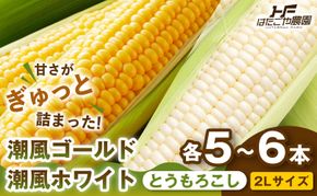 ［旬の２種類を贅沢に］食べ比べセット 1セット とうもろこし トウモロコシ ゴールドラッシュ 黄色 潮風ゴールド 潮風ホワイト スイートコーン 茹でとうもろこし BBQ 焼き肉 白浜町 304018_ET07