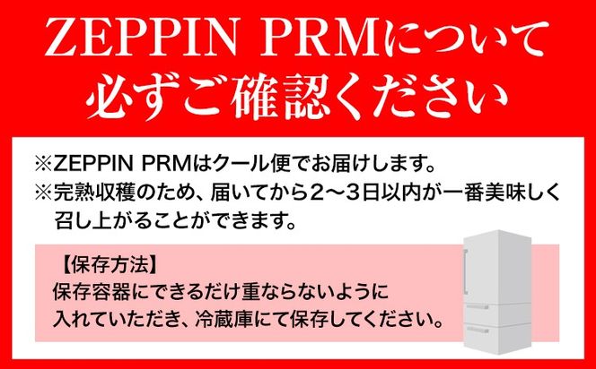 トマト とまと 高糖度トマト ZEPPIN PRM(プレミアム) 2kg 《120日以内に出荷予定(土日祝除く)》甘い トマト フルーツトマト ミニトマト 野菜 フルーツ ハウス フルーツ感覚 甘い おいしい---B-138a---