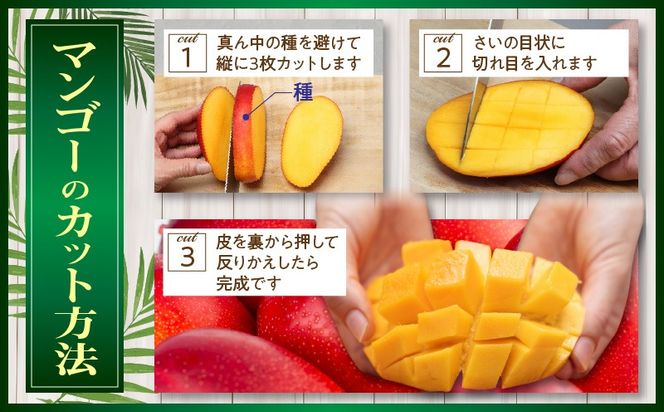 【2027年発送】【数量限定】宮崎県産 完熟マンゴー B等級 4Lサイズ×2玉（合計約1kg）_kn056-014