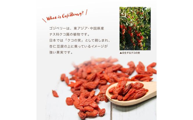 ゴジベリー(クコの実)500g×2袋 【kw0090-0021】
