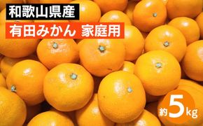 【先行予約】 有田みかん 家庭用 約5kg サイズ混合 和歌山県産