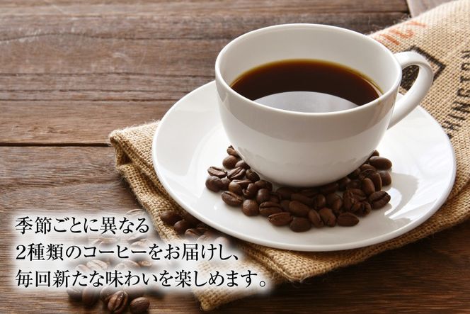 12回 定期便 自家焙煎 スペシャルティコーヒー 季節のギフトセット 200g 2種類 総計4.8kg 【豆】 [アフターゲームカフェ 山梨県 韮崎市 20743929] コーヒー 珈琲 コーヒー豆 珈琲豆 詰め合わせ セット 飲み比べ