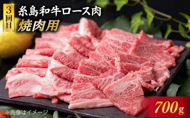 美味しさ 満載 ！ 贅沢お 肉 セット の 定期便 全5回 （月1回） 4人 家族用 【福岡 糸島産 牛肉 豚肉 鶏肉 ステーキ しゃぶしゃぶ すき焼き ヒレ シャトーブリアン ロース】 《糸島》 【糸島ミートデリ工房】 [ACA083] 定期便 博多和牛 豚 地 鶏 牛肉 焼肉 ステーキ すき焼き しゃぶしゃぶ 国産