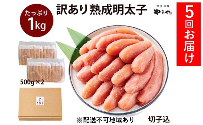 定期便 5回 訳あり 明太子 大容量 やまや切子 冷凍1kg（500g×2）配送不可 離島 魚貝類 