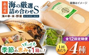 【全12回定期便】糸島産 魚 米 野菜 果物 厳選詰め合わせ MINORI BOX Sサイズ 糸島市 / emma.Inc / 米 魚 野菜 詰め合わせ[AOP022]