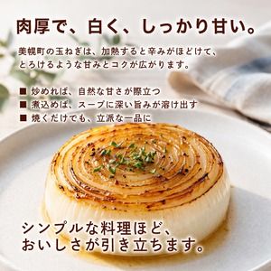 【令和8年産 先行予約】玉ねぎLサイズ・10kg（2026年10月上旬より順次発送）