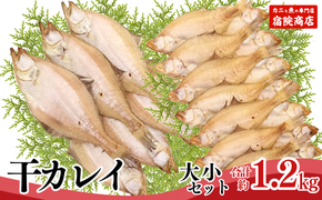 【干物 干カレイセット 合計1.2kg以上（大5～8枚 約600g、小11～15枚 約600g）香住産 冷凍】身の厚い大きめのカレイ、少し小ぶりのカレイセットです。焼きたてに淡口醤油をひとかけすると香りよく食せます。南蛮漬もおススメ。絶妙の塩加減 大人気 ふるさと納税 送料無料 唐揚げ お酒のお供 日本海 香住港 柴山港 兵庫県 香美町 香住 柴山 宿院商店 33-13