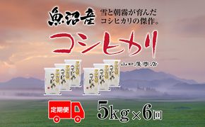 定期便 全6回 魚沼産コシヒカリ 5kg お米 米 コメ 
