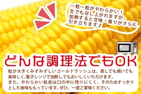 予約受付！＜朝採れ！国富町産ゴールドラッシュ4.5kg3L11本＞2026年5月下旬～7月上旬迄に順次出荷【 とうもろこし スイートコーン 先行予約 野菜 穀物 甘い トウモロコシ 季節物 数量限定 とうきび コーン 】 【a0579_sn】