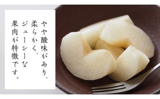 【 産地直送 】 豊水 3kg 先行予約 梨 フルーツ 果物 国産 日本産 梨 ナシ なし 和梨 [CZ007ci]