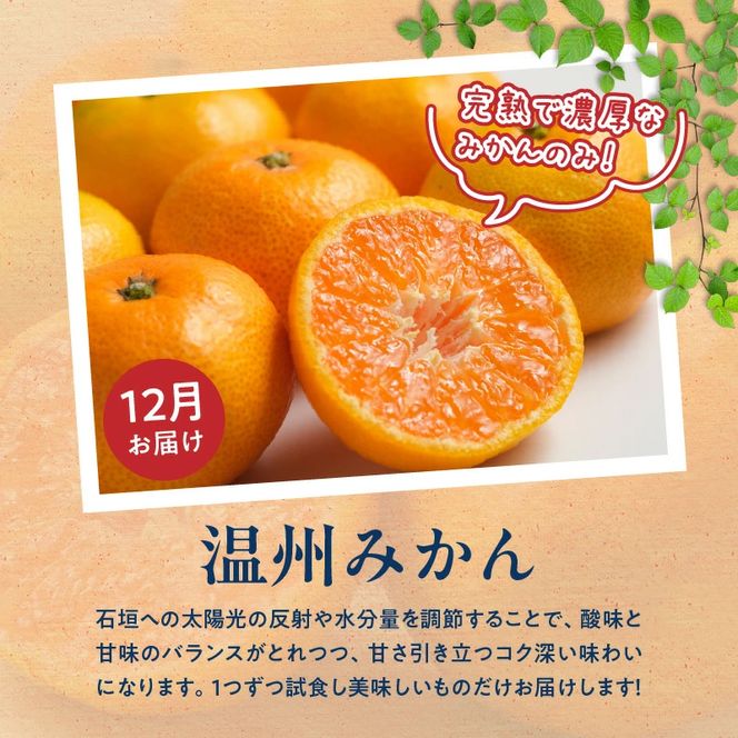 G60-T84_【定期便 全3回】紀州和歌山産旬のフルーツ定期便（温州みかん、いちご、紀州デコ）