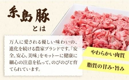 【全3回定期便】毎日のメインのおかずを彩る精肉セット 1,050g 2～3人前 4種《糸島》【糸島ミートデリ工房】 [ACA201]