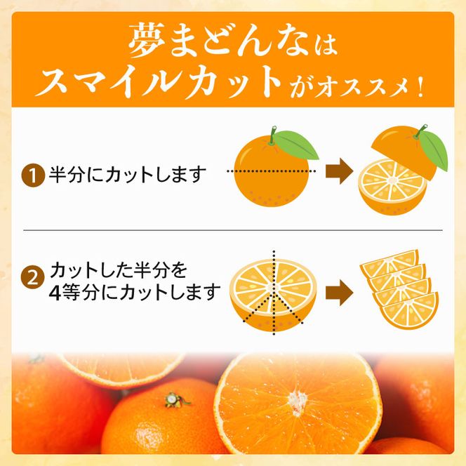 【訳あり】みかん職人の夢まどんな 小玉 3kg 柑橘 果物 フルーツ 愛媛 みかん職人武田屋 蜜柑 愛果28号 愛媛果試第28号 まどんな 大小ミックスサイズ 糖度 センサー 計測 規準 甘い 甘さ らんきんぐ みかん かんきつ 柑橘 冬 旬 食べごろ 農家 農家直送 農園 人気 みかん職人 武田屋 産直 みかん職人武田屋 愛媛県 愛南町