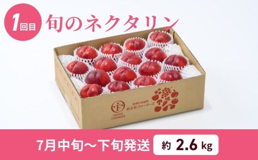 [2回定期便] 旬のネクタリン＆白桃 約2.6～3kg 食べ比べ 年2回定期便 ［おぶせファーマーズ］ネクタリン 白桃 フルーツ 果物 冷蔵便 クール便 長野県産 信州産 小布施 令和7年産【2025年7月中旬～8月下旬発送】[F-69]