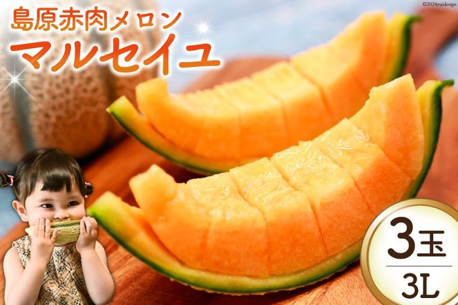 y茧szBI113 yߘa8Nxoוz ԓu}ZCvi3L×3ʁj [  ߂ }ZC ԓ t[c ʕ X 茧 s ]