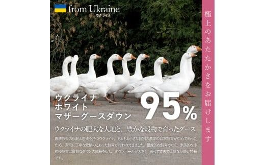 【甲州羽毛合掛けふとん】ウクライナホワイトマザーグース95%抗菌の糸 ホワイト（シングル～キング) ふとんカバー付 寝具 抗菌 布団 合掛けふとん 甲州羽毛 山梨 富士吉田