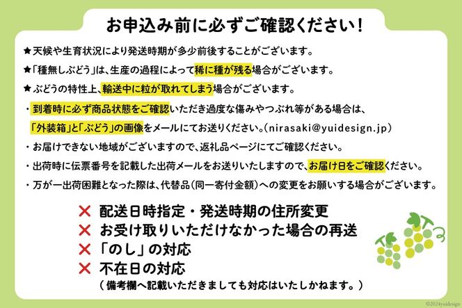 【2026年発送】 シャインマスカット 先行予約 頬張る幸福感 ～緑の宝石・シャインマスカット～ 1.1kg 以上 (2～3房) [REGALO 山梨県 韮崎市 20745477] シャイン マスカット しゃいん ブドウ ぶどう 葡萄 フルーツ 果物 くだもの 山梨 1キロ 2房 ～ 3房 山梨県産 先行受付